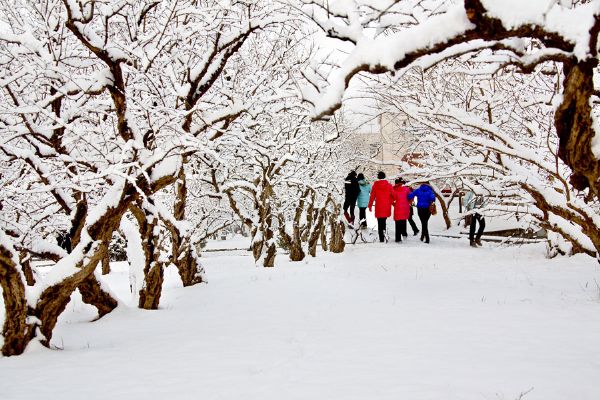 DB中国旗舰官方网站