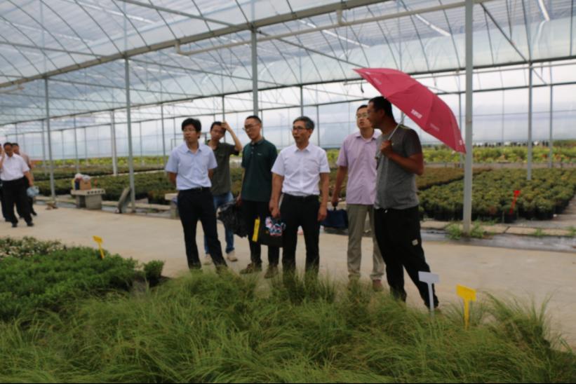 DB中国旗舰官方网站