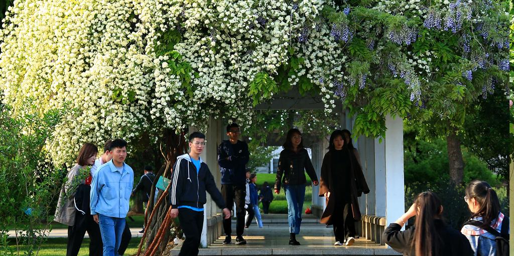 DB中国旗舰官方网站