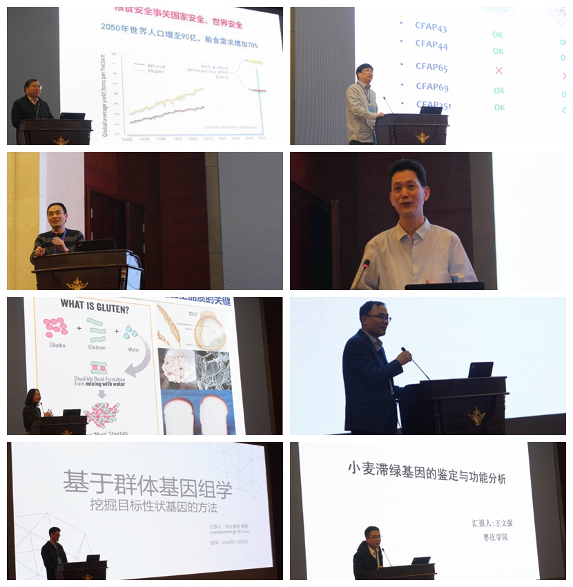 DB中国旗舰官方网站