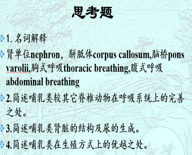 DB中国旗舰官方网站