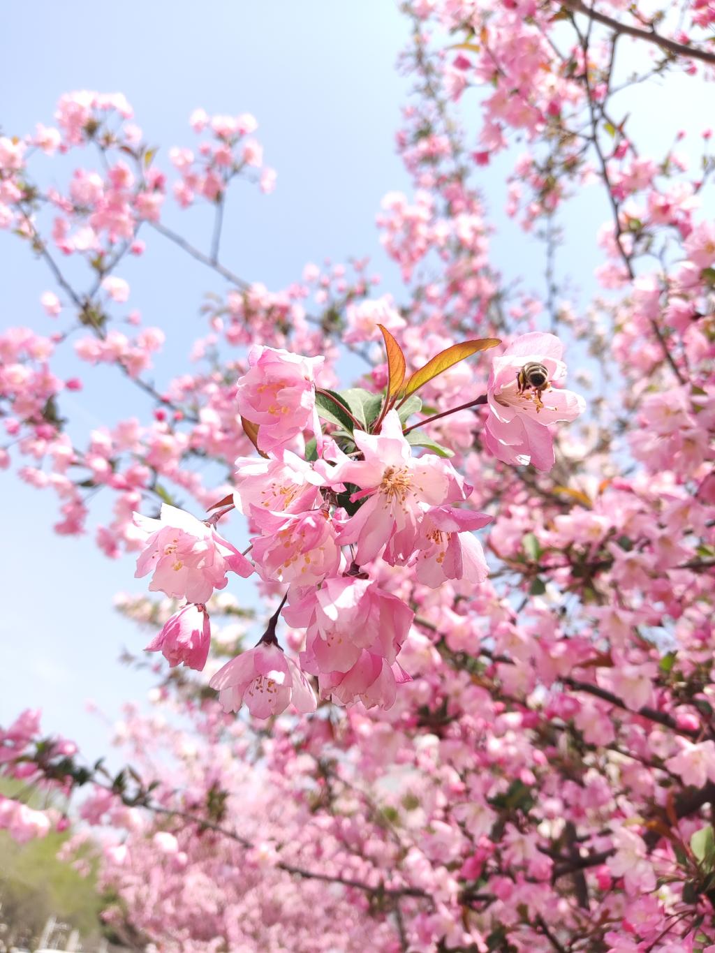 DB中国旗舰官方网站