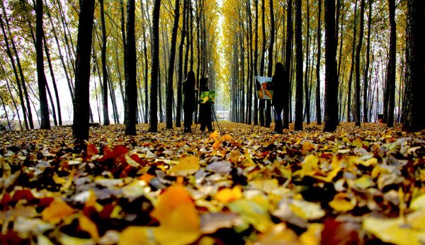 DB中国旗舰官方网站