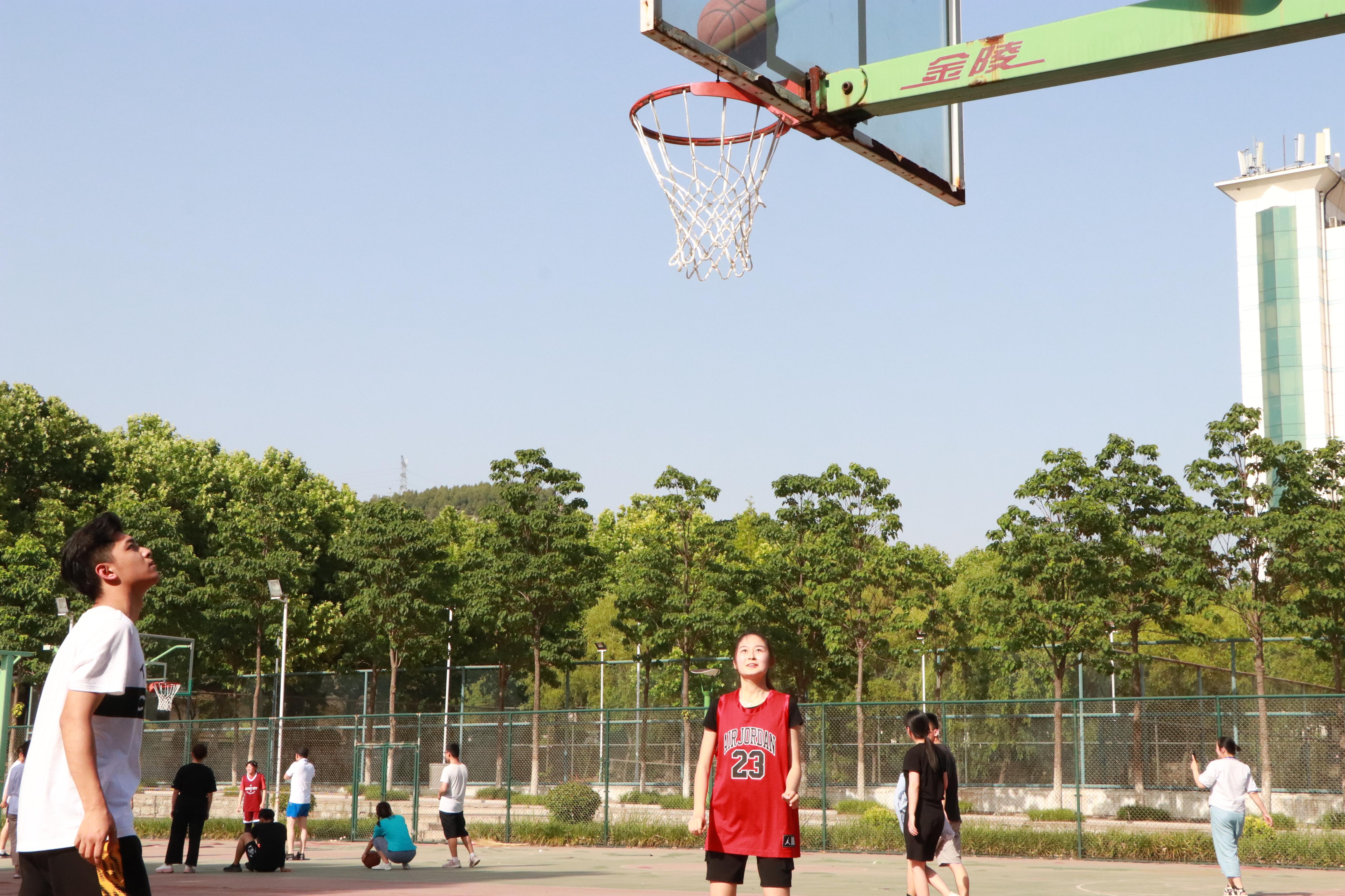 DB中国旗舰官方网站