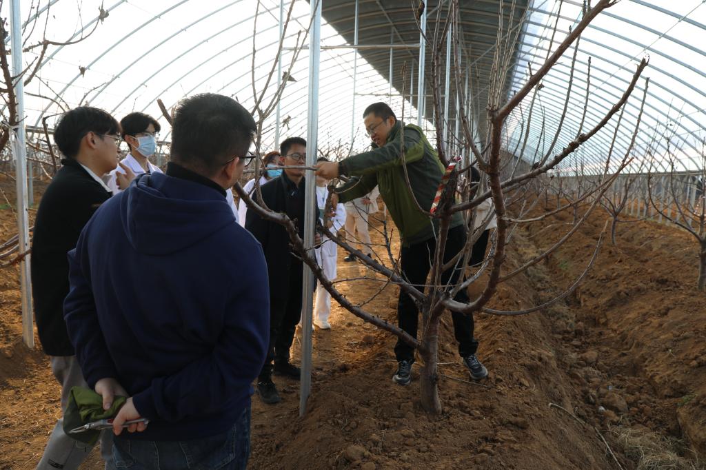 DB中国旗舰官方网站