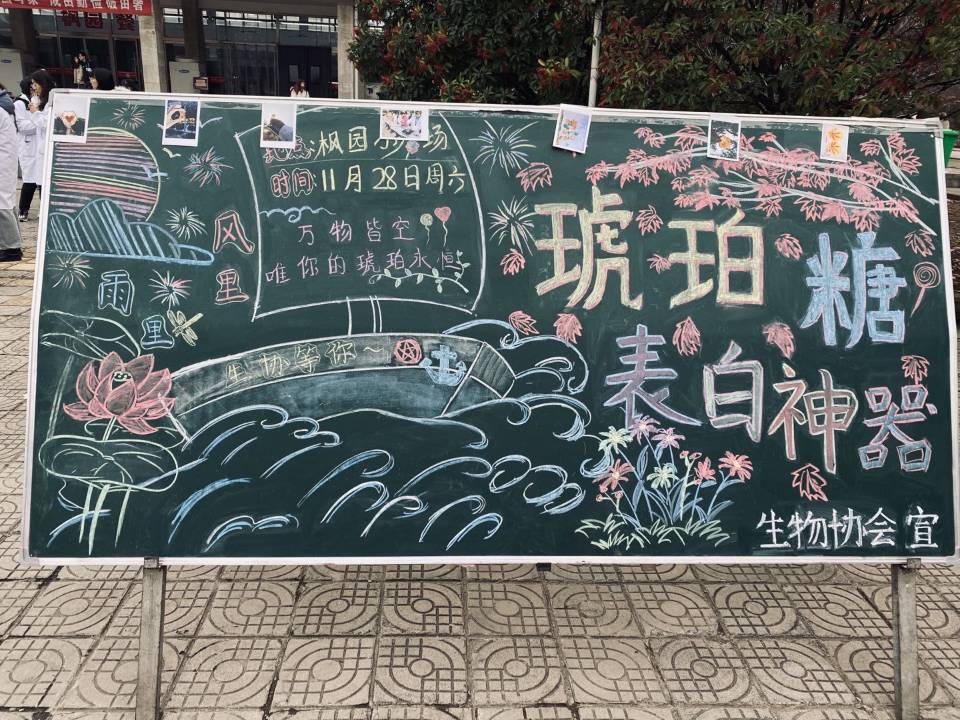 DB中国旗舰官方网站