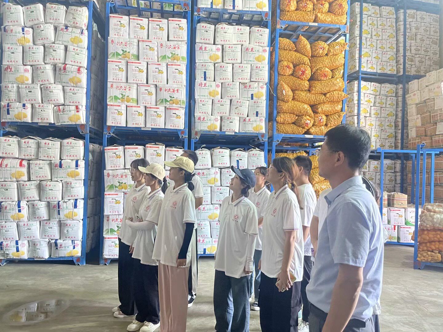 DB中国旗舰官方网站