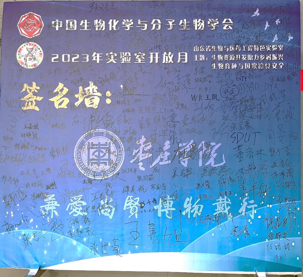 DB中国旗舰官方网站