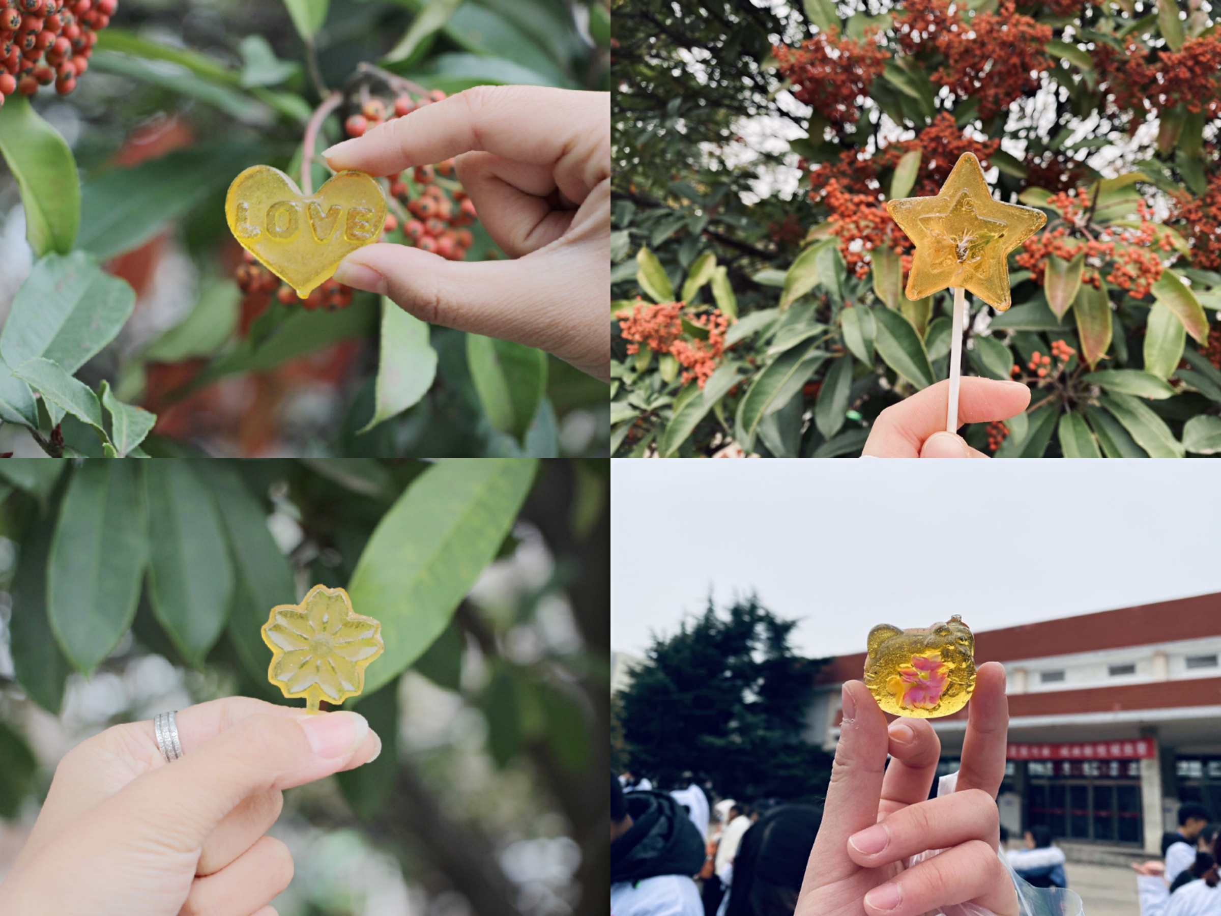 DB中国旗舰官方网站