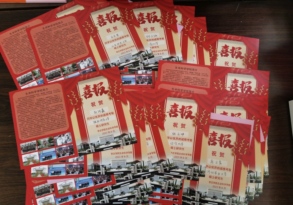 DB中国旗舰官方网站