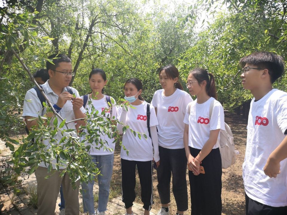 DB中国旗舰官方网站