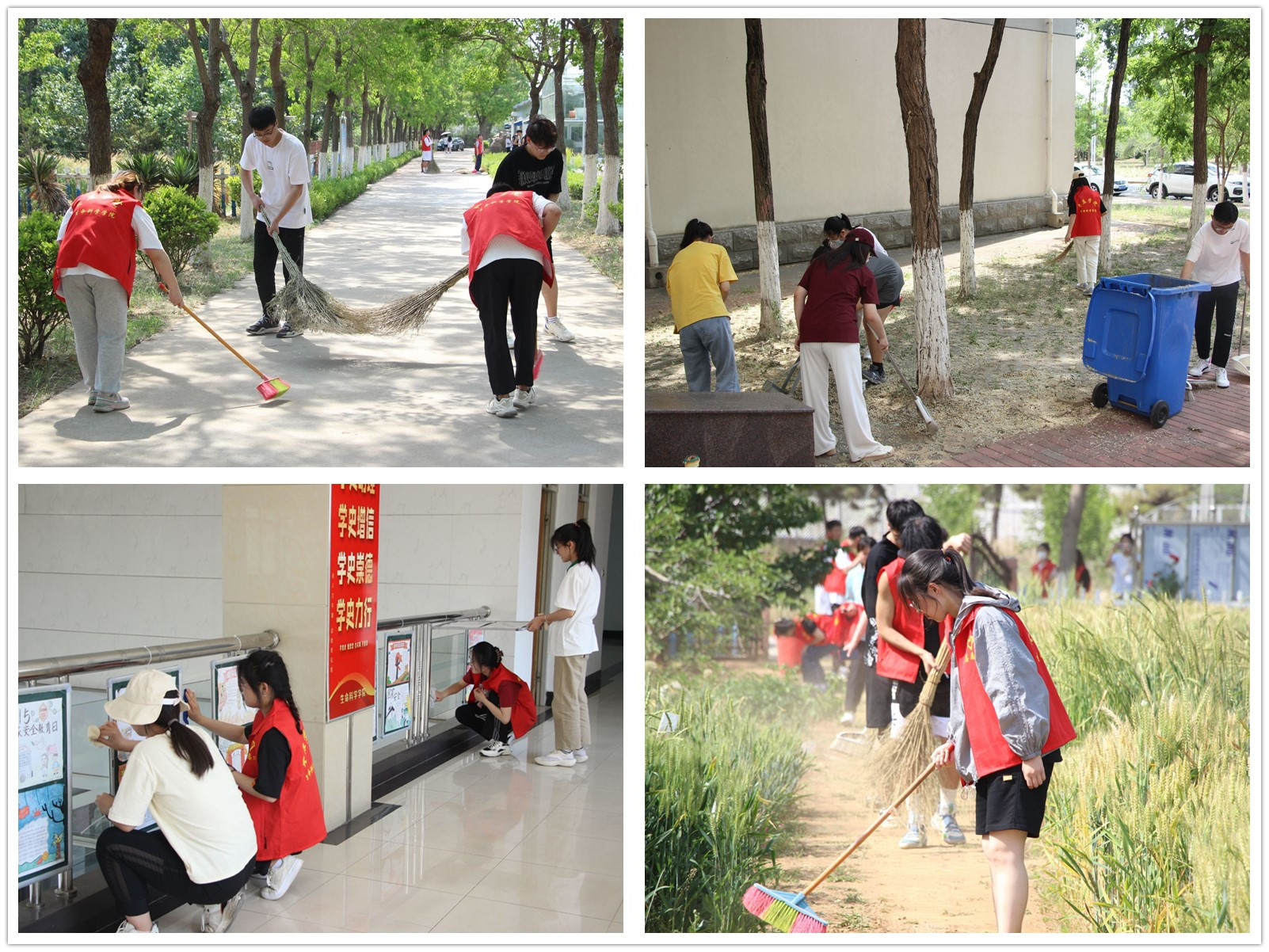 DB中国旗舰官方网站