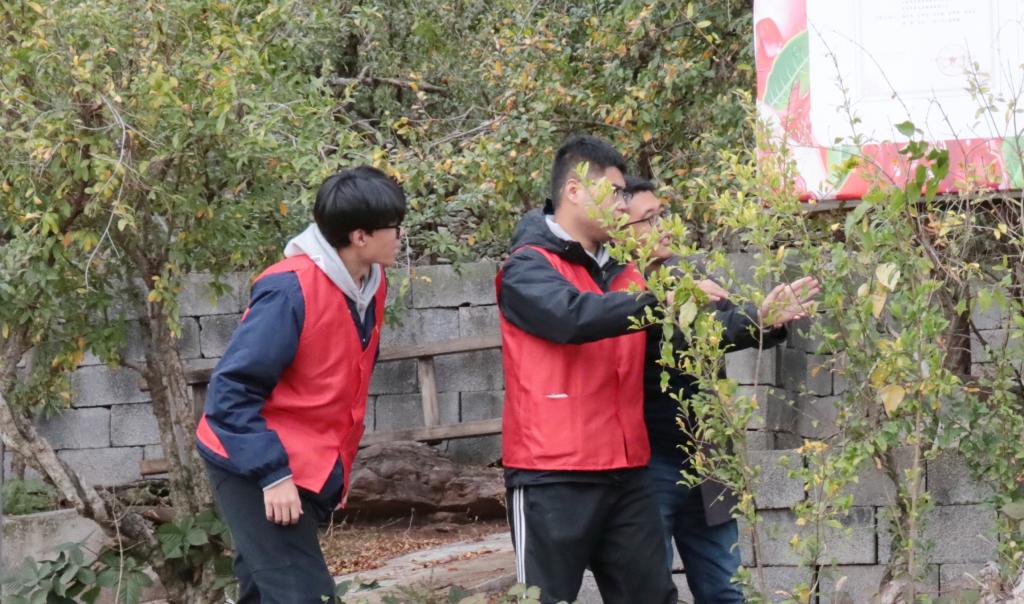 DB中国旗舰官方网站