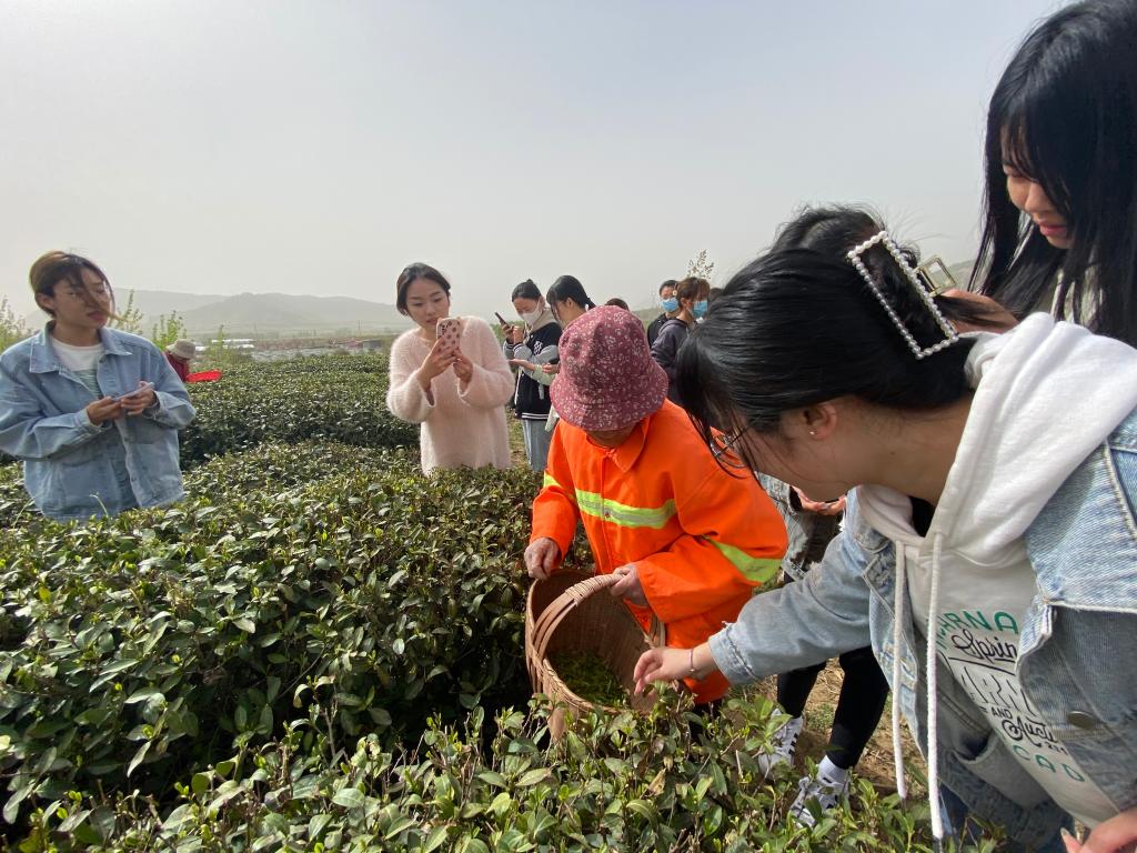 DB中国旗舰官方网站