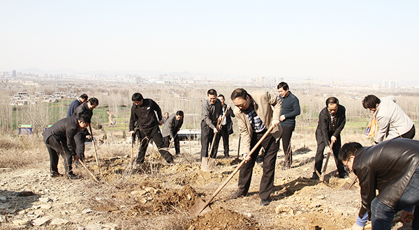 DB中国旗舰官方网站