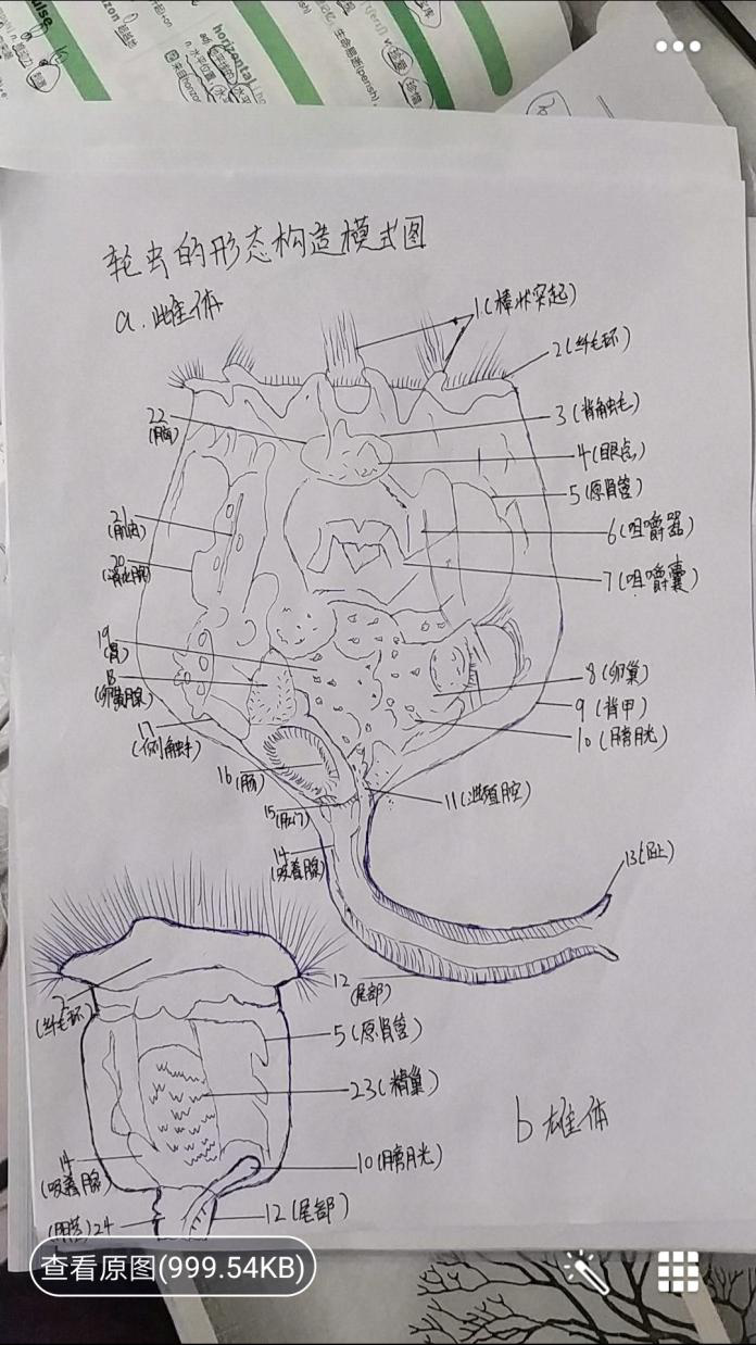 DB中国旗舰官方网站