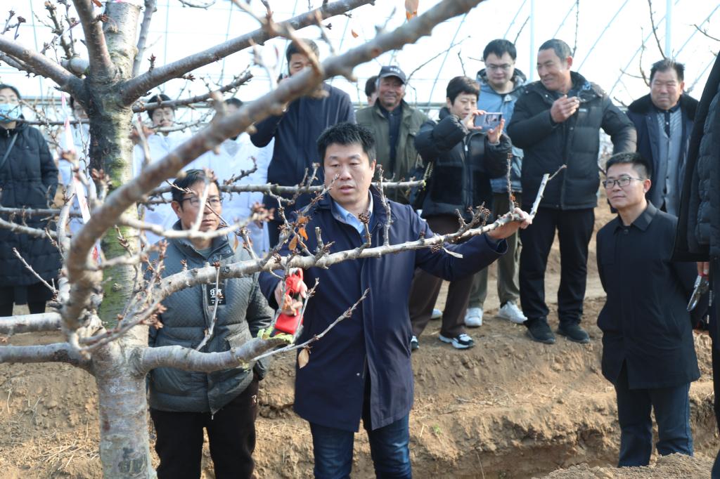 DB中国旗舰官方网站